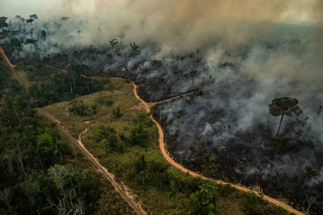 Unidades de conservação do RJ são reabertas após queda nos incêndios 