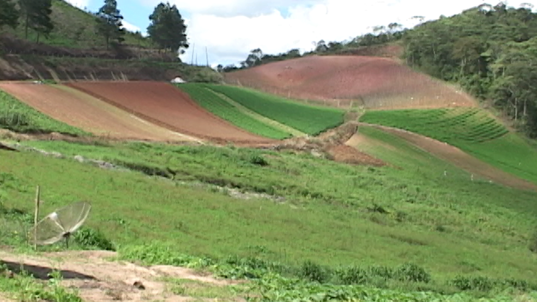 Governo Federal libera mais 63 agrotóxicos; Anvisa alerta para nível tóxico