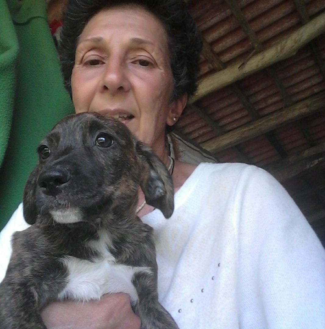 Nova Friburgo perde Valéria Lima, protetora da causa animal na cidade