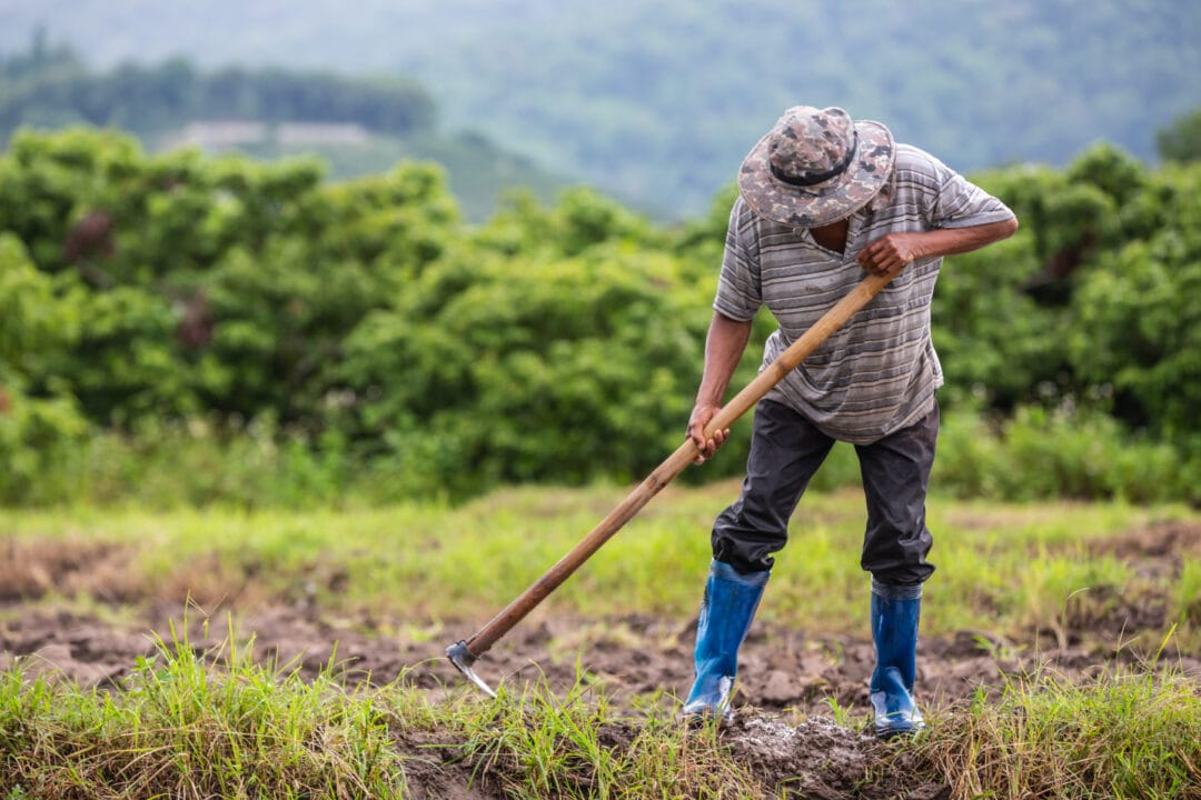 Prefeitura de Nova Friburgo lança Plano de Desenvolvimento Rural Sustentável para trabalhadores