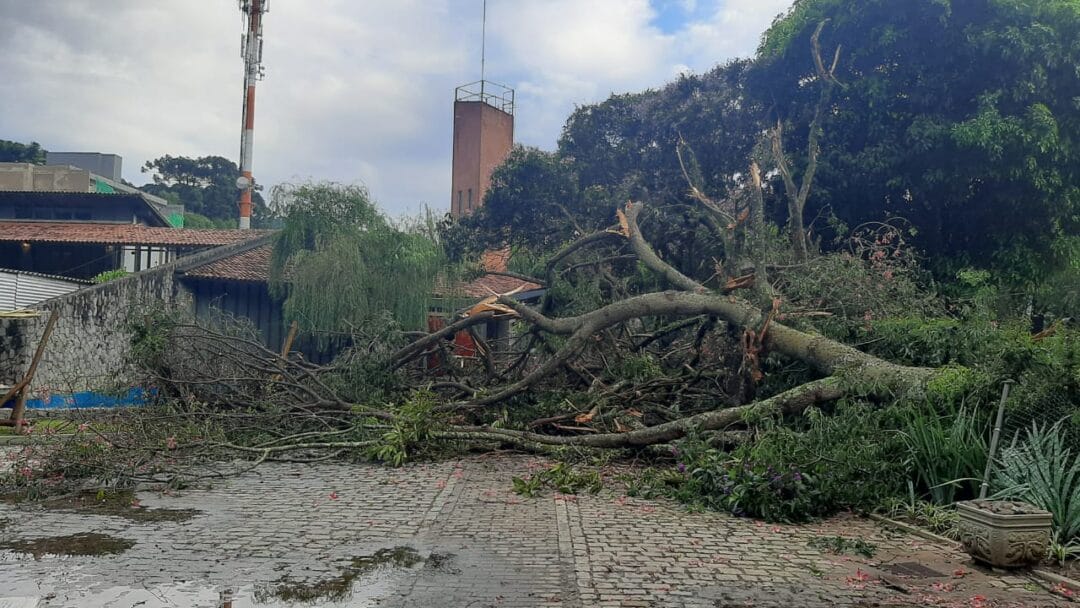 Chuvas em Nova Friburgo deixam estragos pelas ruas