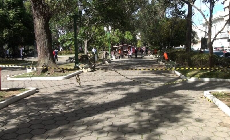 Parte da praça Getúlio Vargas é interditada, galho de árvore ameaça cair