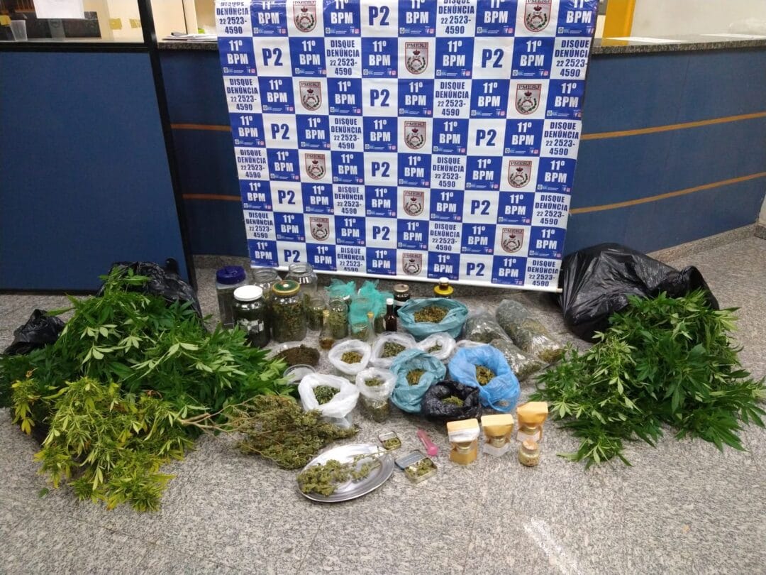 Casal é apreendido com 60 pés de maconha
