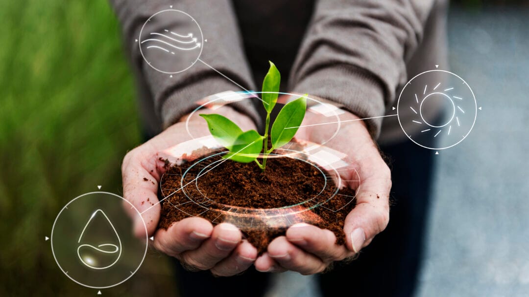 Universidade de Nova Friburgo oferece palestra sobre sustentabilidade e responsabilidade social