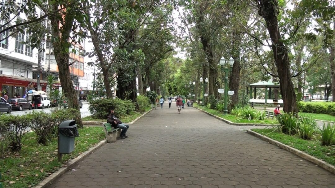 Prefeitura realizará poda de árvores da praça Getúlio Vargas neste domingo
