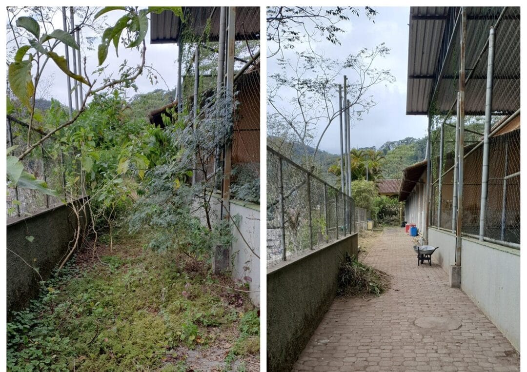 Divulgado resultado de licitação para obra de contenção na Escola Maximilian Falck, em Mury