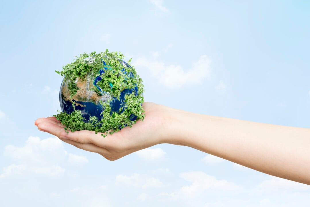 ECODUCA 2022: evento sobre negócios e sustentabilidade começa neste sábado￼