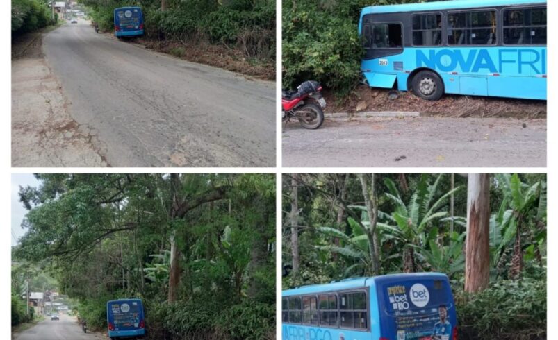 Ônibus da Nova Faol perde o freio e sai da pista