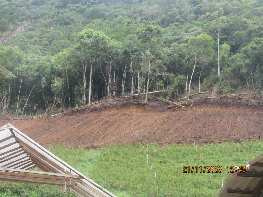 Secretaria de Meio Ambiete embarga desmatamento irregular na zona rural de Nova Friburgo