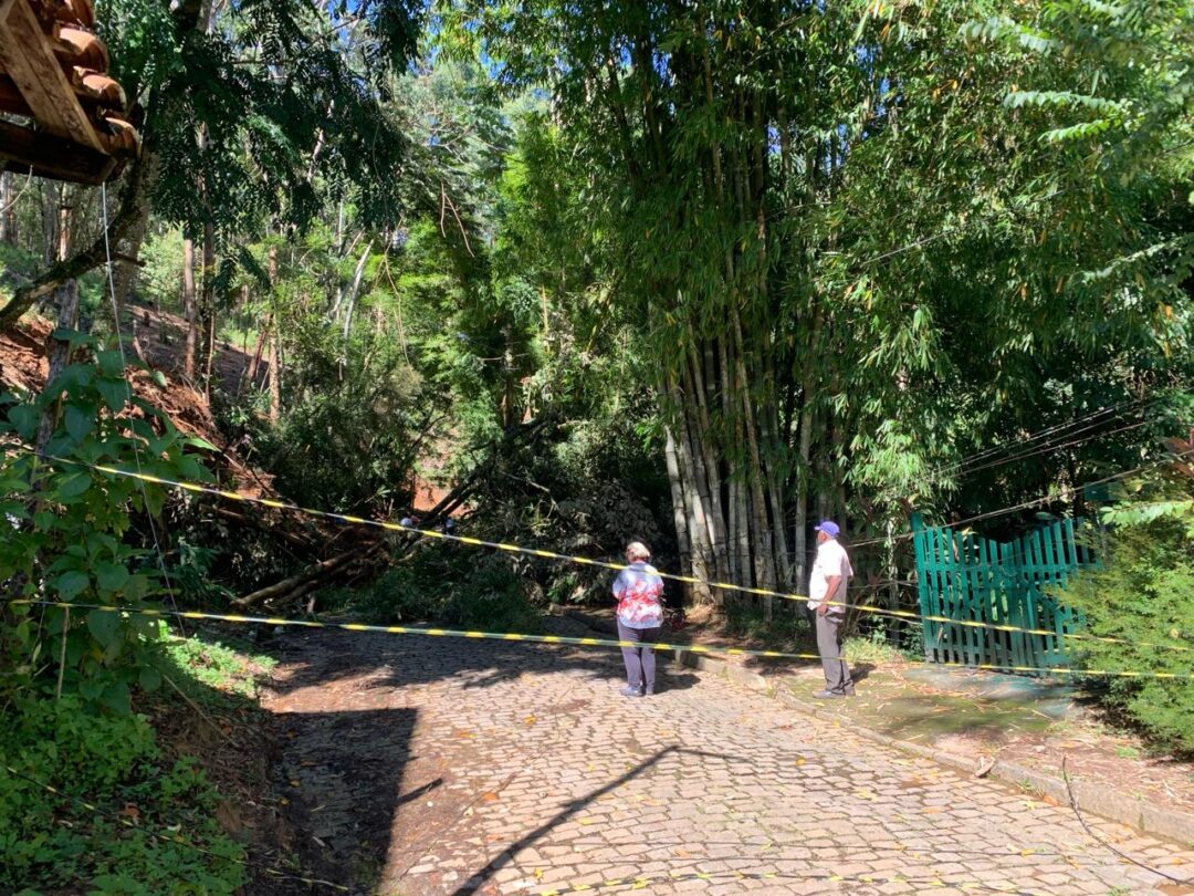 Deslizamento de barreira interdita estrada de Nova Friburgo