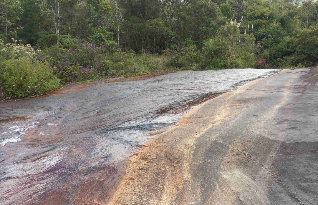 Inea reconhece mais uma RPPN,Reserva Particular do Patrimônio Natural, em Nova Friburgo