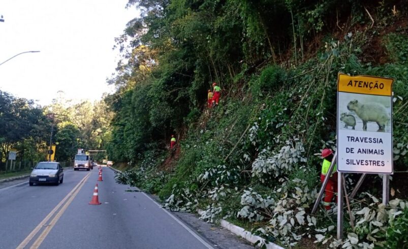 Atenção motoristas: trecho da RJ 116 em Nova Friburgo funciona em meia pista nesta segunda, 11