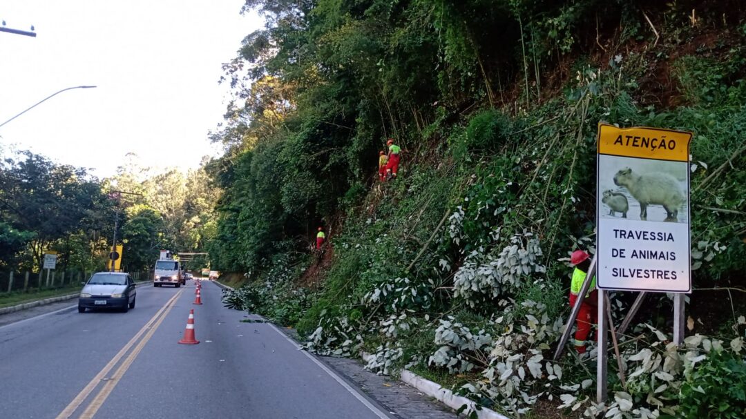 Atenção motoristas: trecho da RJ 116 em Nova Friburgo funciona em meia pista nesta segunda, 11