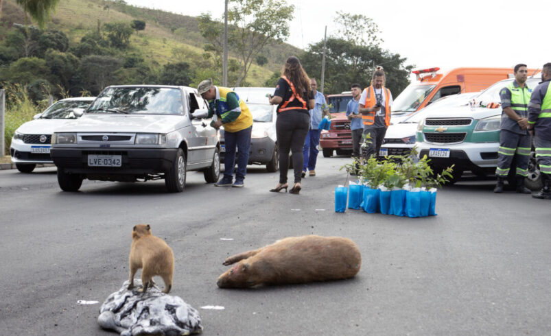 Departamento de Estradas de Rodagem (DER-RJ) participa de blitz ambiental na RJ-116