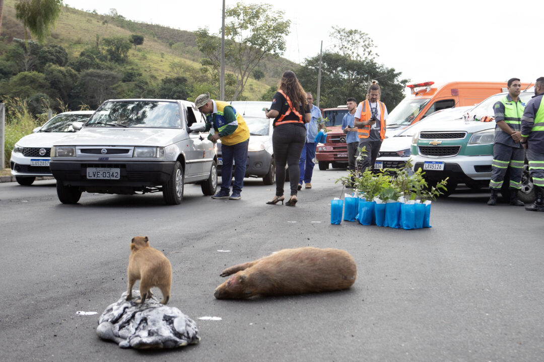 Departamento de Estradas de Rodagem (DER-RJ) participa de blitz ambiental na RJ-116