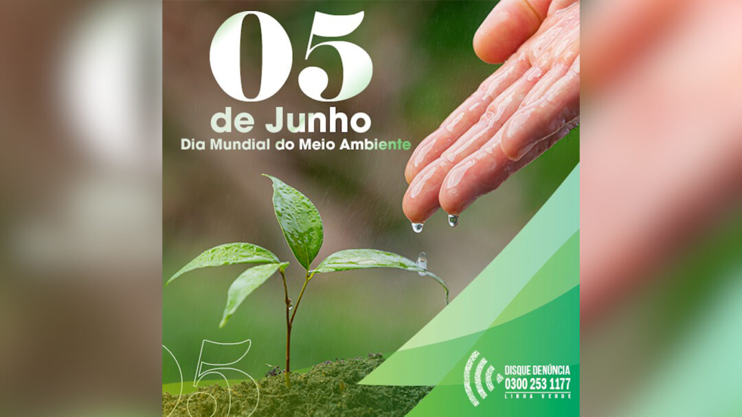 No Dia Mundial do Meio Ambiente, o ”Linha Verde”,  programa de denúncia do Estado do Rio, divulga o balanço das ações