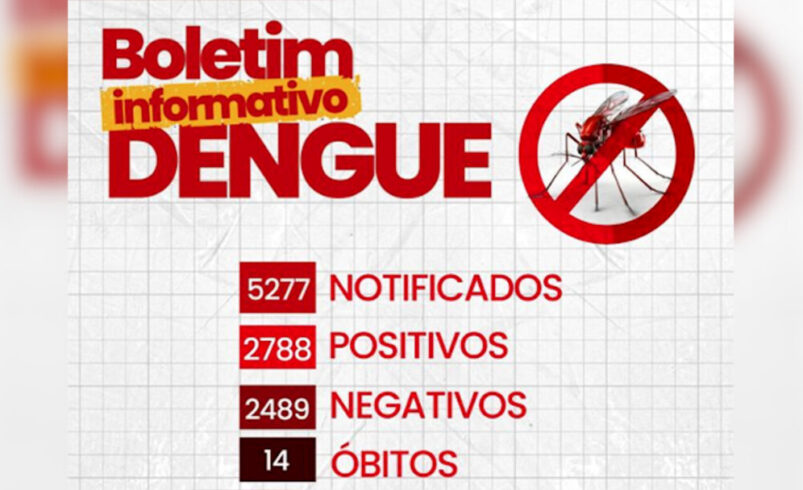 Dengue em Nova Friburgo: segundo boletim oficial divulgado na última sexta, 5, são 14 óbitos e 2788 casos da doença