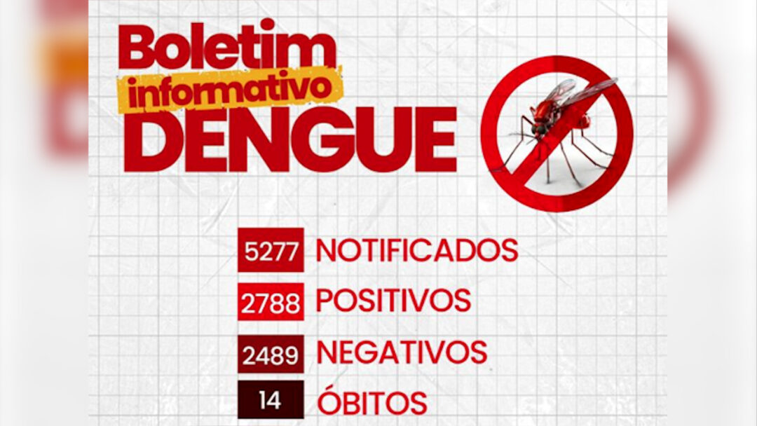 Dengue em Nova Friburgo: segundo boletim oficial divulgado na última sexta, 5, são 14 óbitos e 2788 casos da doença