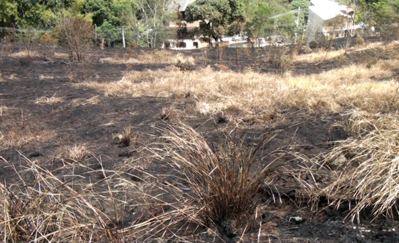 Seis cidades do RJ, incluindo Nova Friburgo, têm seca severa; saiba quais são