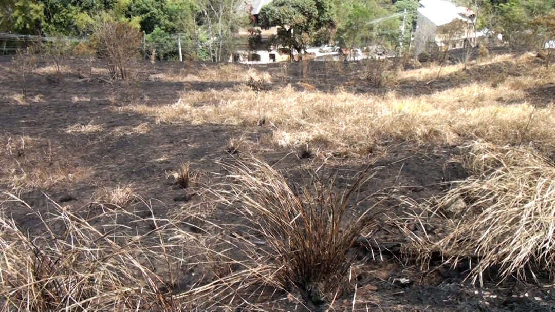 Seis cidades do RJ, incluindo Nova Friburgo, têm seca severa; saiba quais são