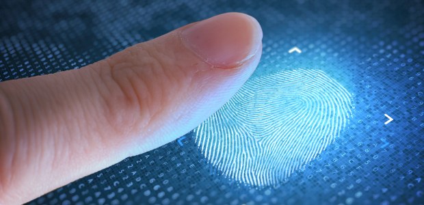 Mais de 2,4 milhões de eleitores poderão ter biometria validada no dia da votação