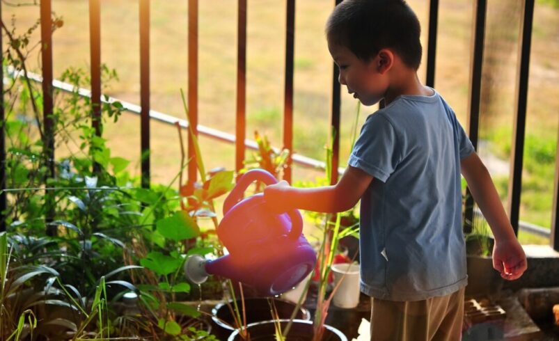 Educação Ambiental nas Escolas: Cultivando Consciência para um Futuro Sustentável