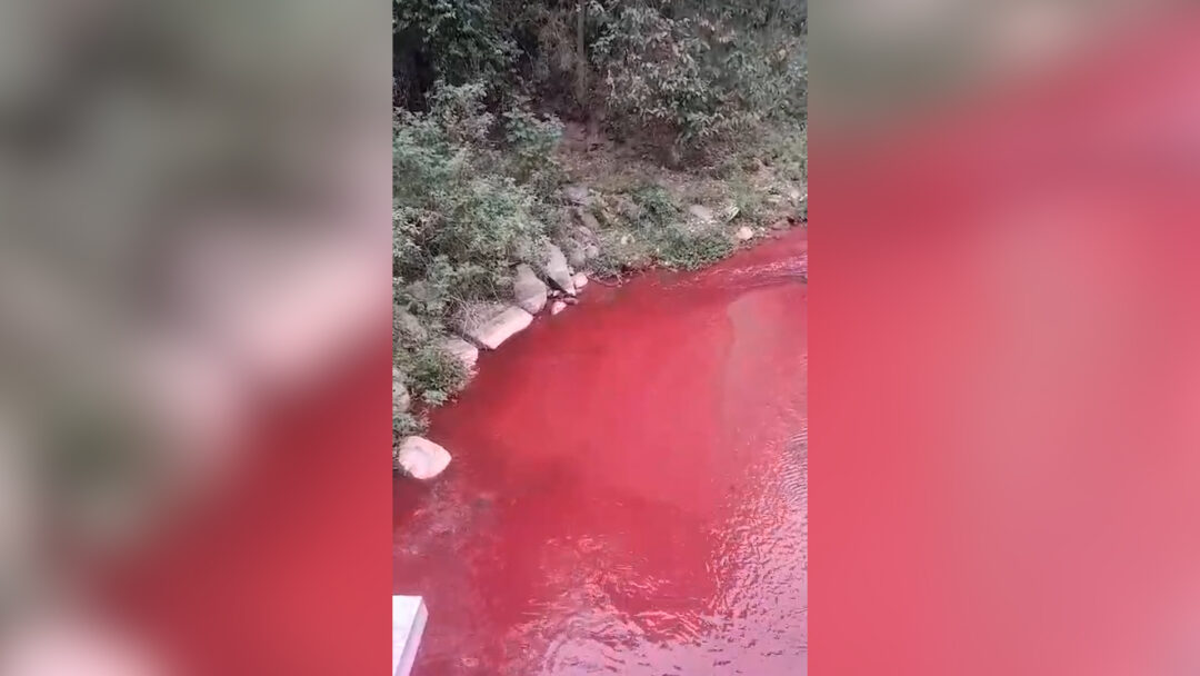 Alerta de poluição! Rio vermelho assusta moradores de Nova Friburgo nesta sexta, 6