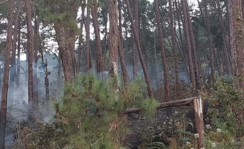 Incêndio atinge bairro de Nova Friburgo e se aproxima da área de montagem de um circo