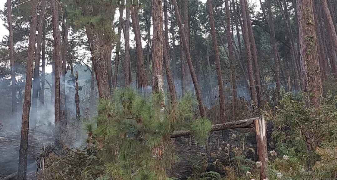 Incêndio atinge bairro de Nova Friburgo e se aproxima da área de montagem de um circo