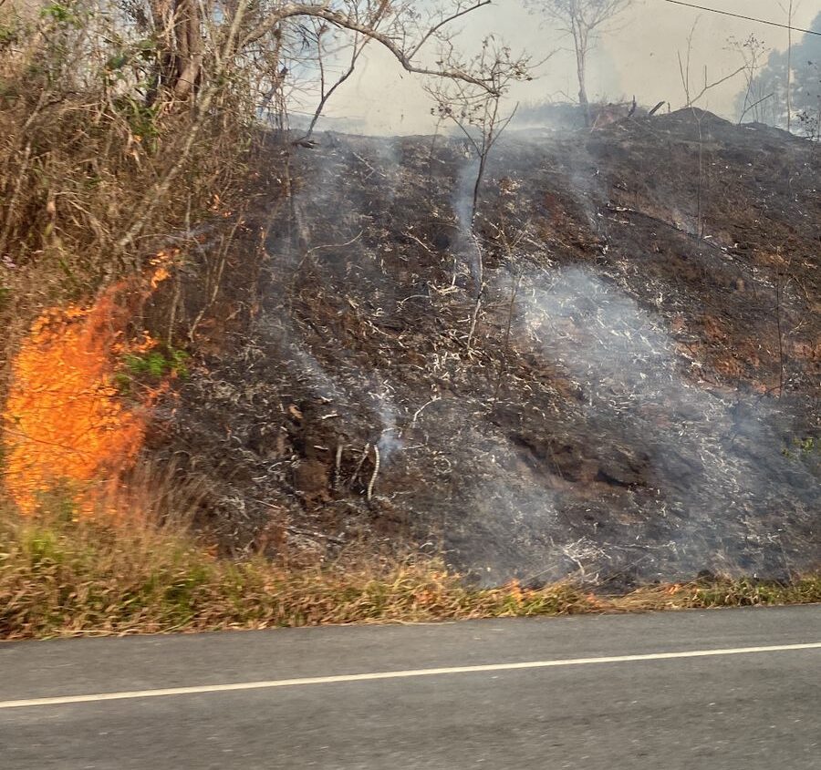 Seca na Amazônia e estiagem no Brasil: Como este cenário atinge Nova Friburgo?
