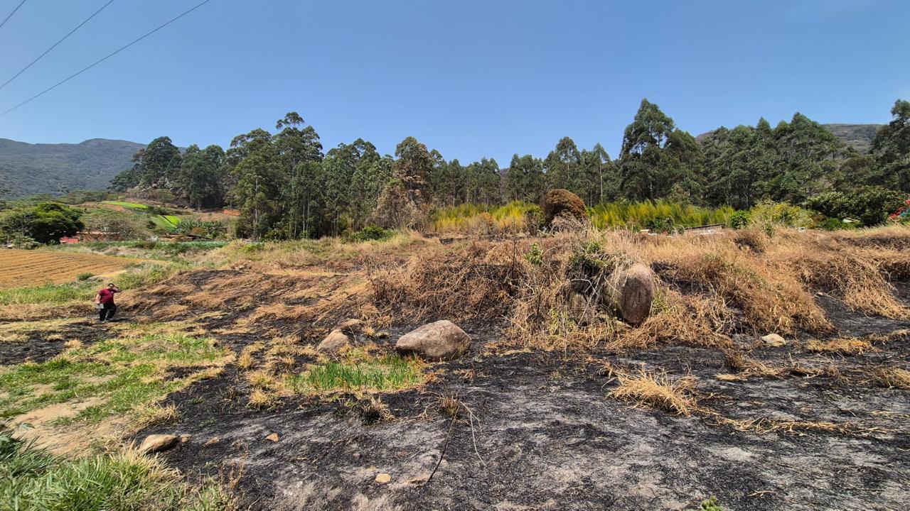 Polícia Civil realiza ações para investigar incêndios criminosos no Rio de Janeiro