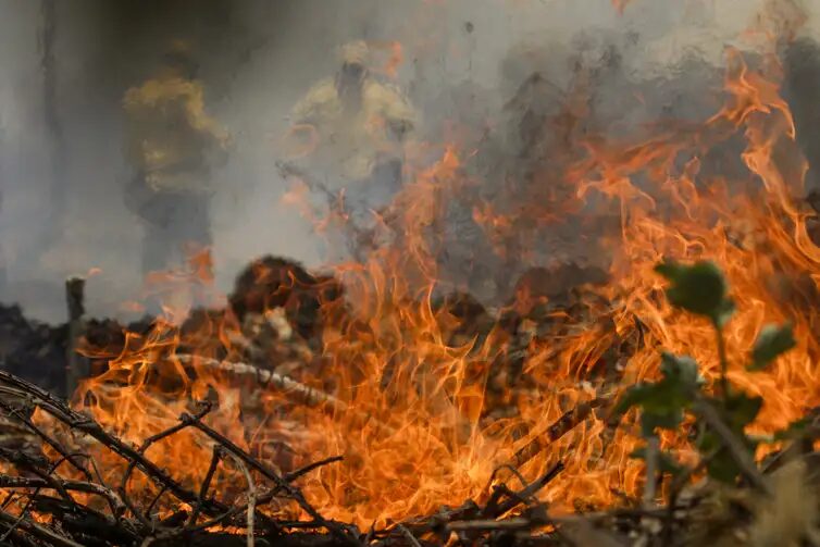 Bairro Ruy Sanglard, em Nova Friburgo,  sofre com incêndio