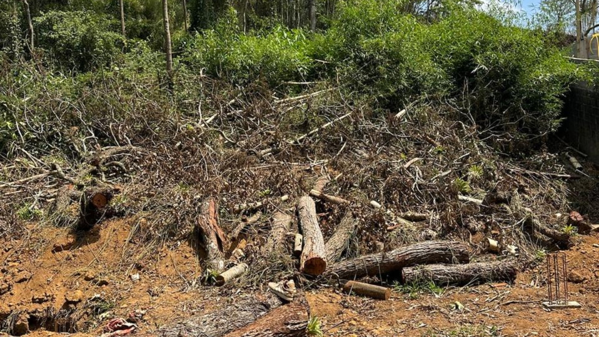 UPAm Três Picos identifica construção irregular e corte de árvores em Nova Friburgo