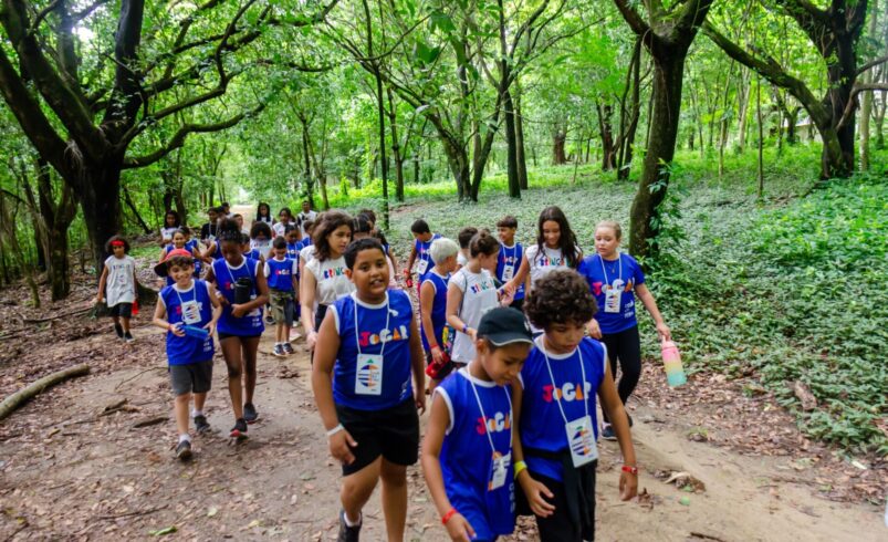 criancas em bosque em colonia de ferias