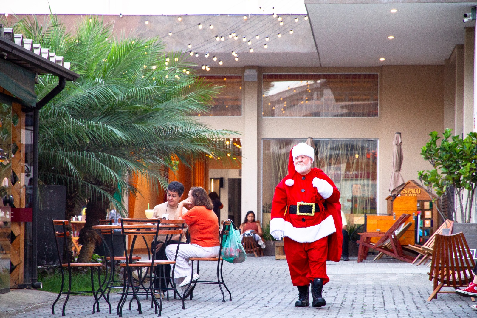 Papai Noel e seus ajudantes, incluindo personagens como Bia Borboleta e Dudu, protagonizarão flashmobs pelo espaço, surpreendendo o público em diversos pontos e levando alegria para os visitantes.