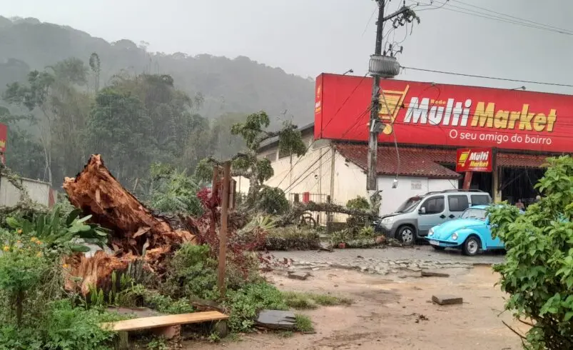 Árvore cai em Lumiar e danifica poste e carro após alerta ignorado