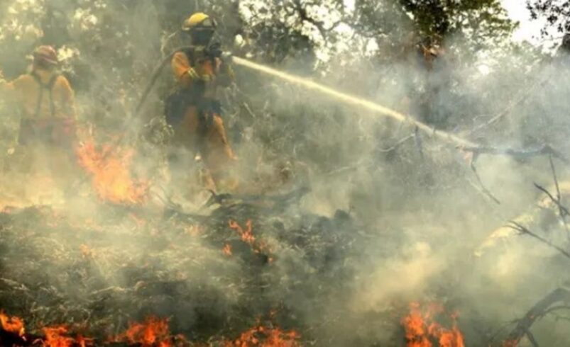 Rio de Janeiro institui sistema para prevenção e combate a incêndios florestais