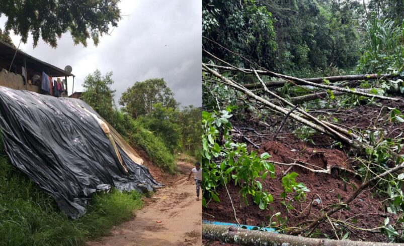 bairros atingidos pela chuva nova friburgo