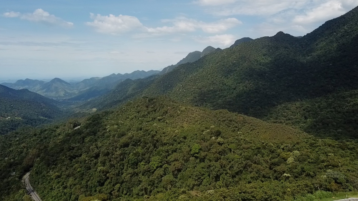 COMMAM-NF convoca ONGs de Meio Ambiente para Cadastro