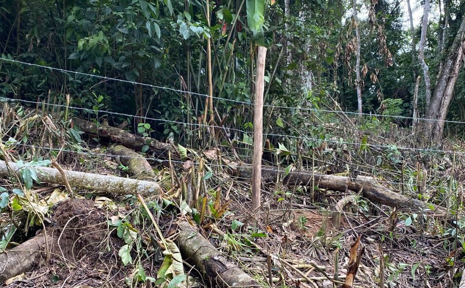 UPAm Três Picos identifica indícios de desmatamento em Nova Friburgo