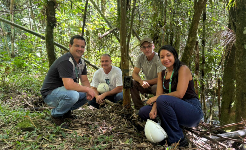 Videomonitoramento registra fauna, parceria entre Águas de Nova Friburgo e Projeto Aventura Animal instala câmeras