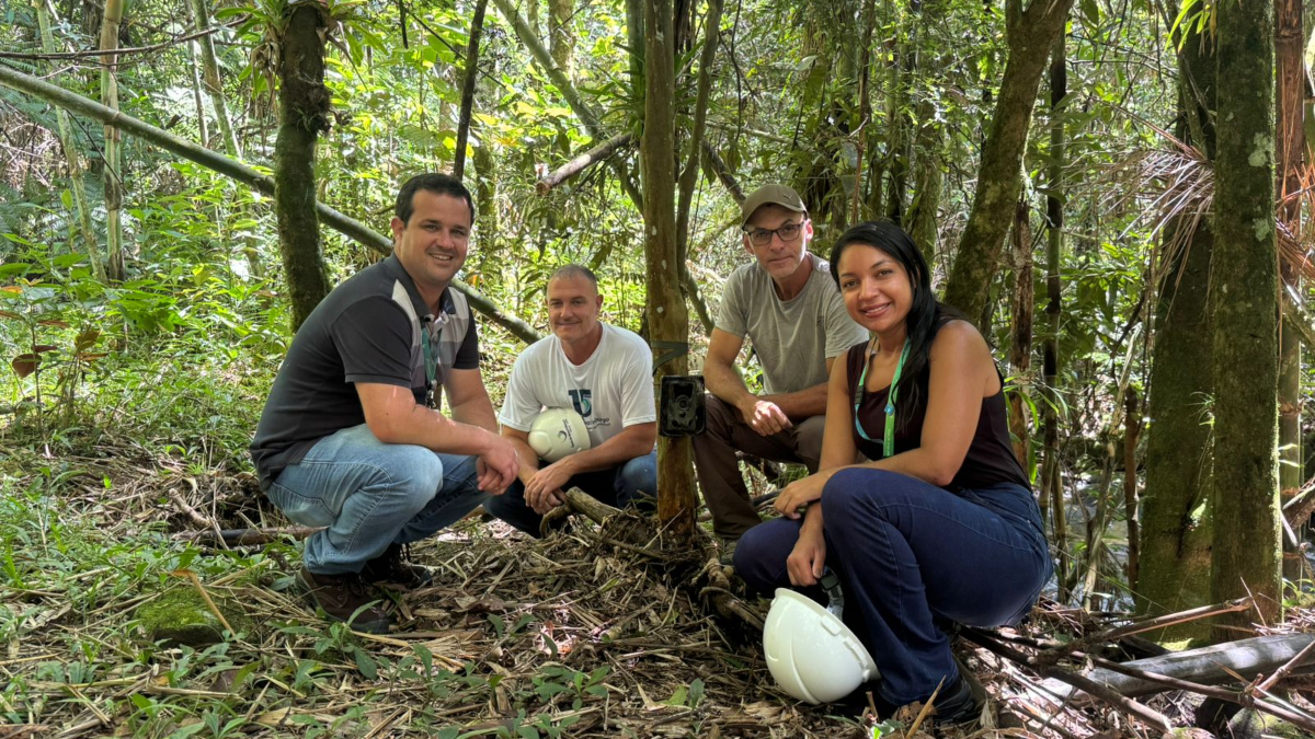 Videomonitoramento registra fauna na Mata Atlântica em Friburgo