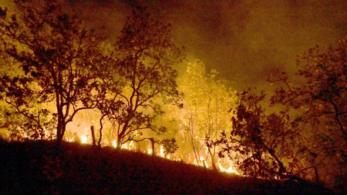 Bombeiros combatem incêndios no RJ em meio ao calor extremo