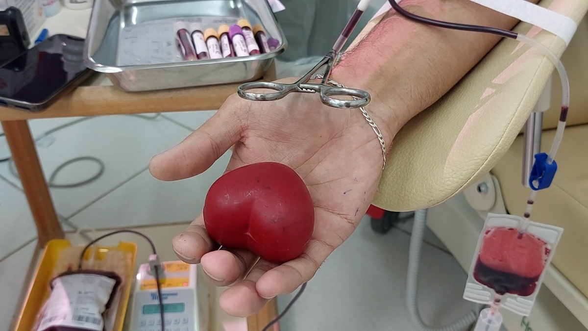 Doe sangue antes do Carnaval e ajude a salvar vidas em Friburgo