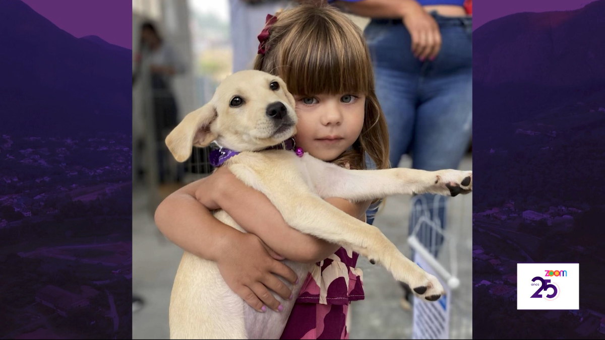 Adoção de cães da Sebea acontece em Friburgo neste sábado, 19