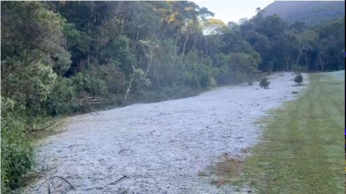 Frio de 1,3°C transforma Friburgo em cenário congelante e atrativo turístico