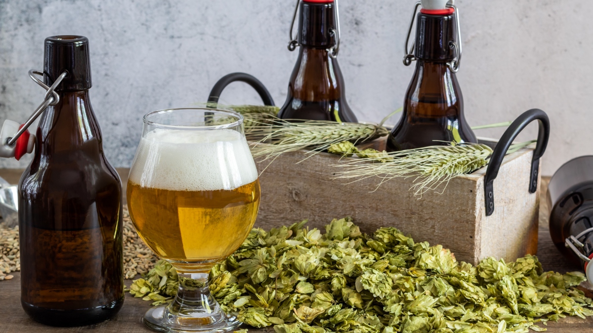 Projeto de cervejas artesanais recebe inscrições na Serra RJ