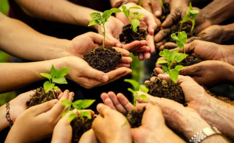 Educação ambiental e reutilização de resíduos ganham destaque em Friburgo