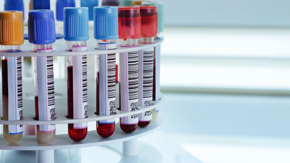 Mutirão de exames de sangue em Nova Friburgo