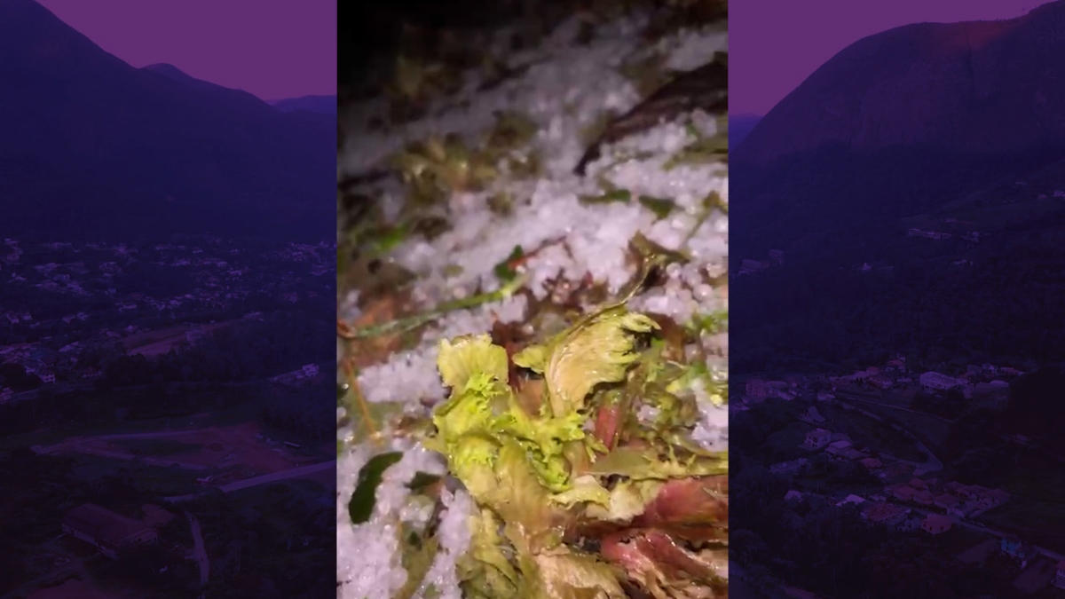 Prefeitura de Nova Friburgo decreta emergência após chuva de granizo